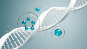 Semax vs Selank，trusted peptide suppler
